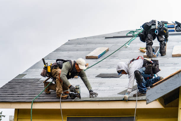 Professional Gutter Installation technician working in Palmyra, NE